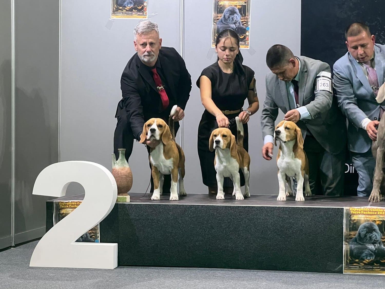 Lote de cría de El Imperio Canino en Jerez 2025