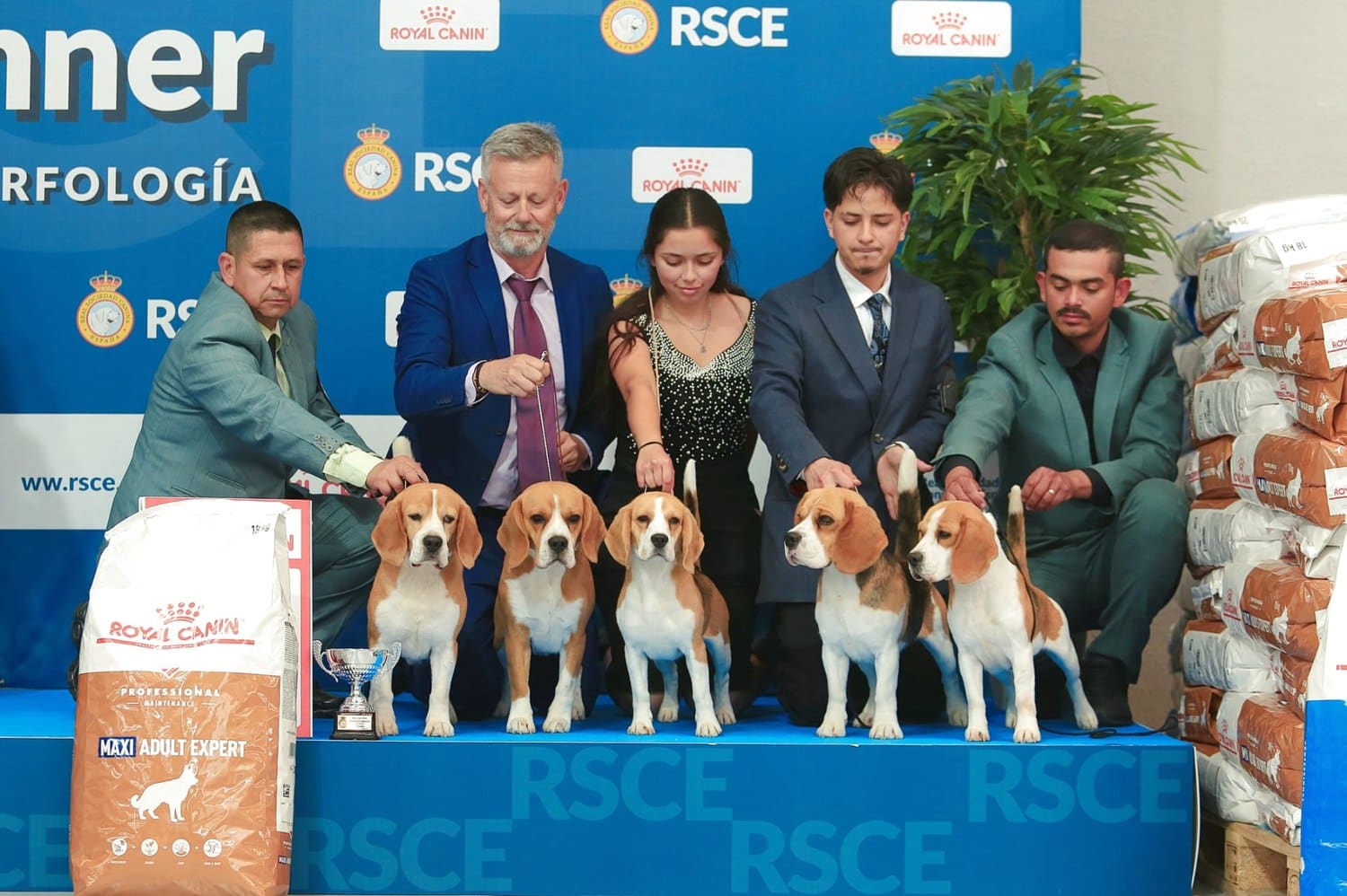 Lote de cría de El Imperio Canino en Jerez 2025
