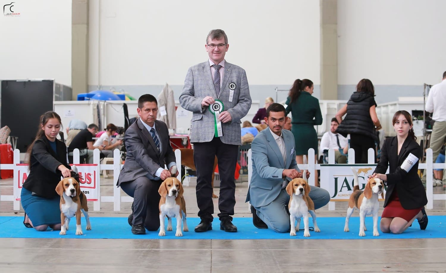Lote de cría de El Imperio Canino en Jerez 2025