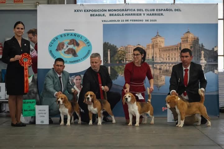 Lote de cría de El Imperio Canino en Jerez 2025