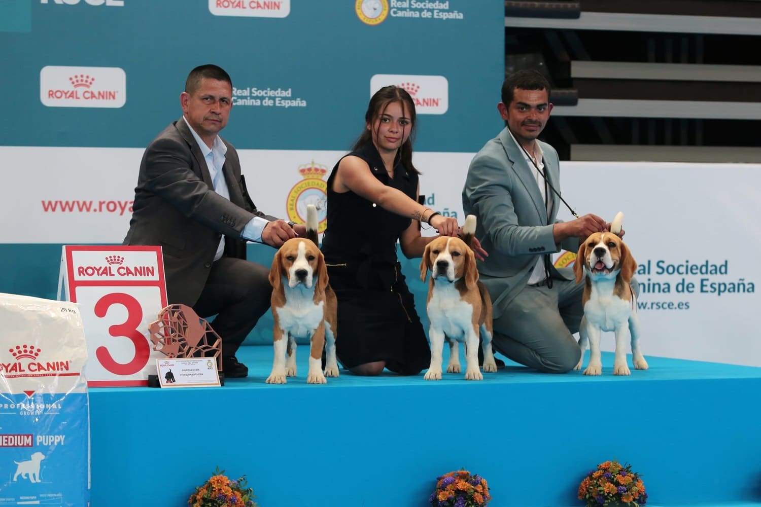 Lote de cría de El Imperio Canino en Jerez 2025