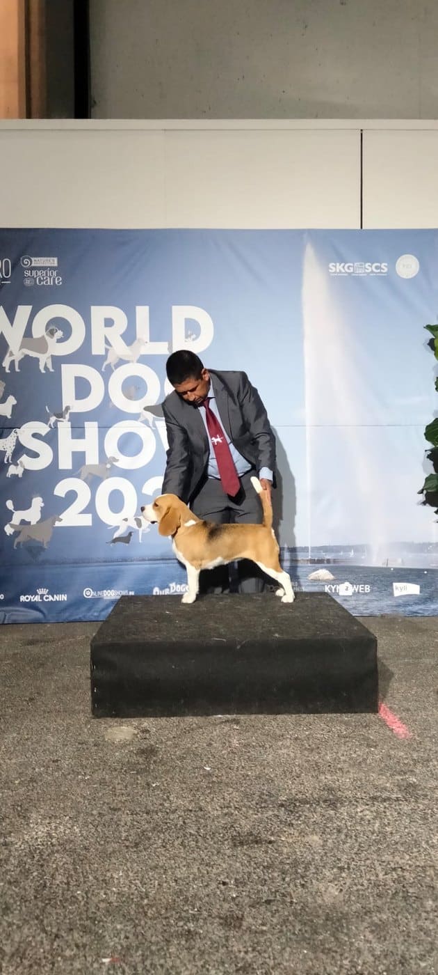 Malú del Imperio Canino en exposición