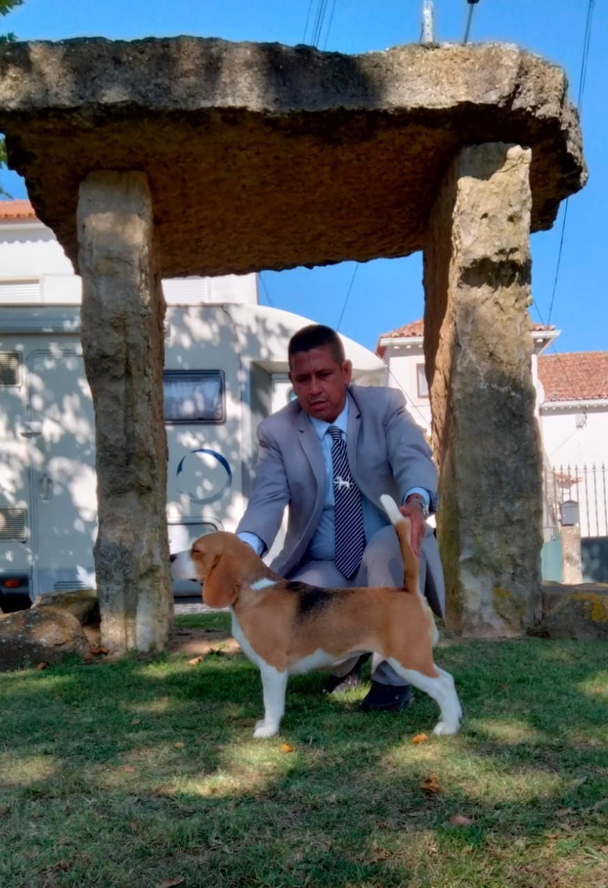 Malú del Imperio Canino en exposición