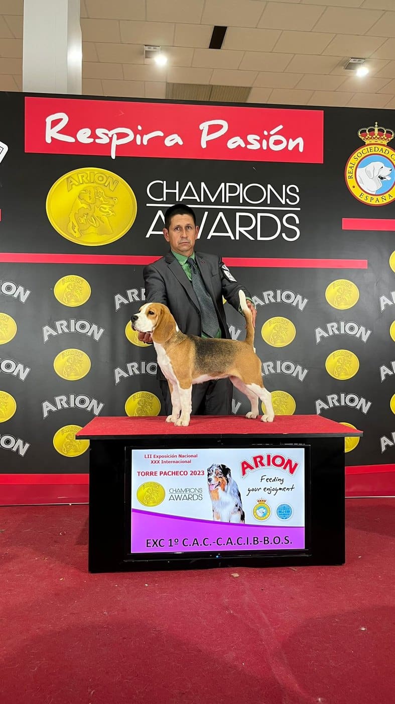 Nieve del Imperio Canino en exposición