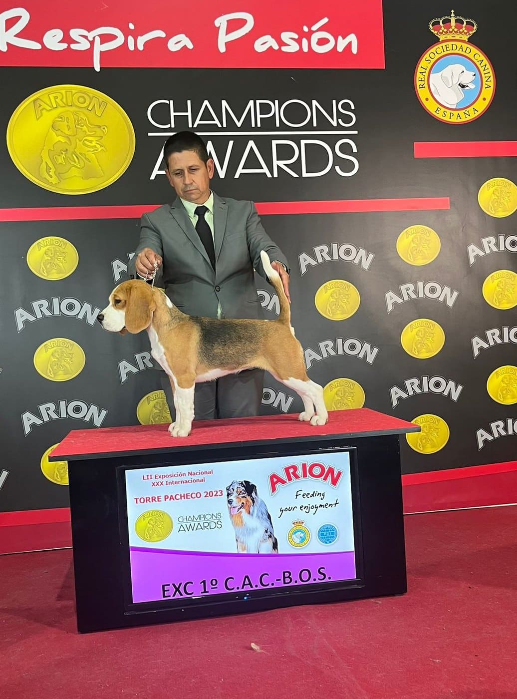 Nieve del Imperio Canino en exposición