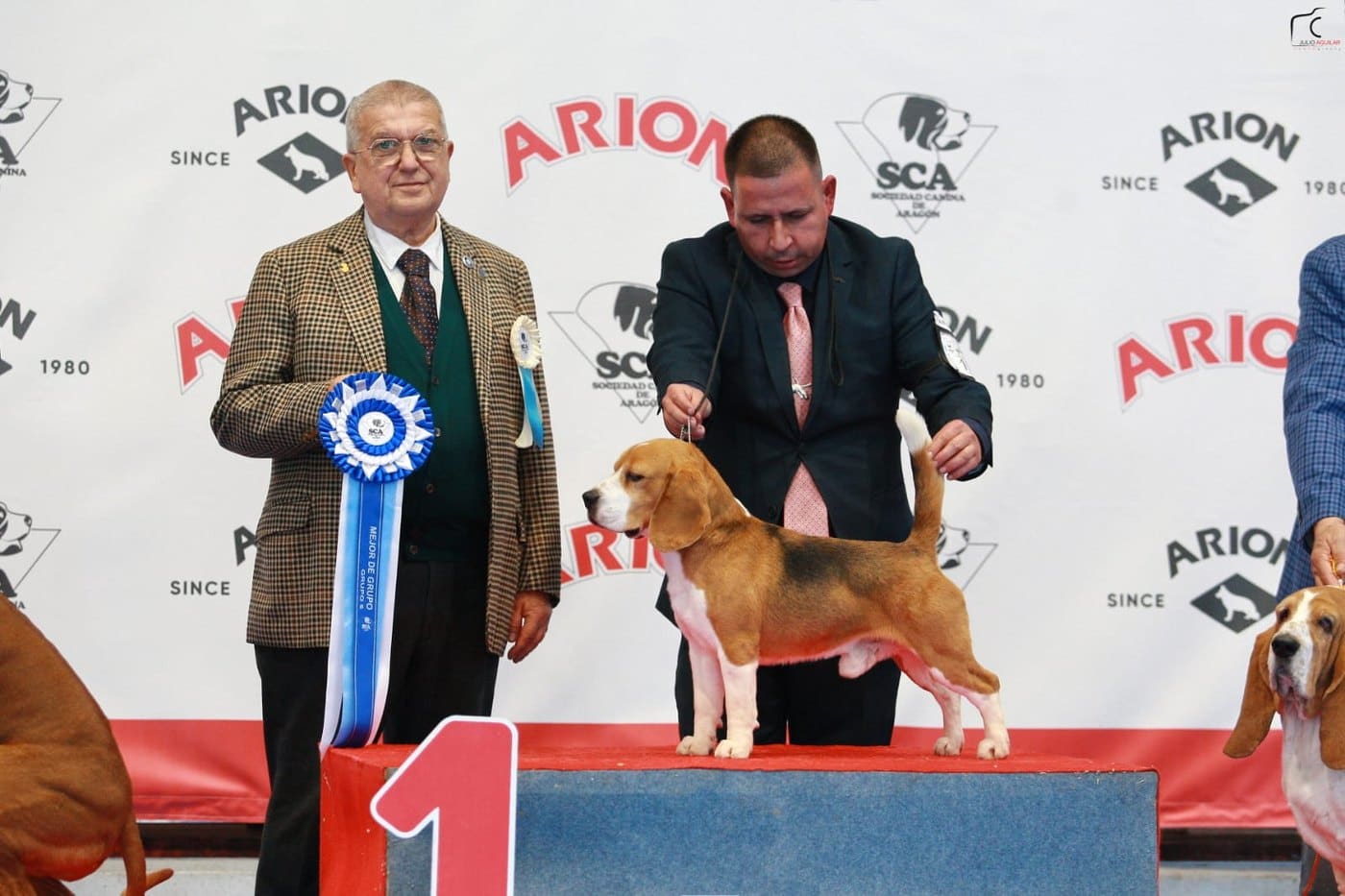 Ñu del Imperio Canino en exposición