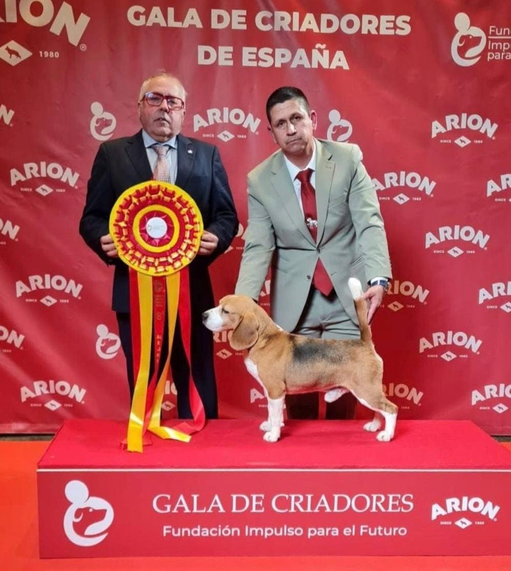 Ñu del Imperio Canino en exposición