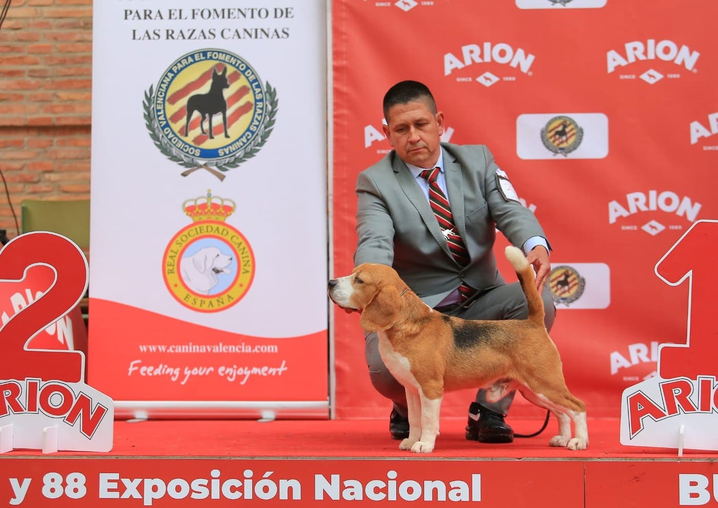 Ñu del Imperio Canino en exposición