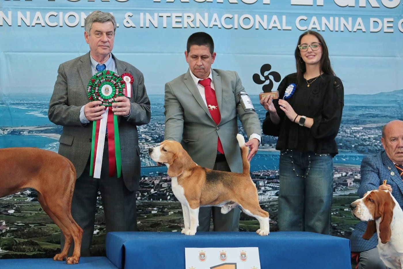 Ñu del Imperio Canino en exposición