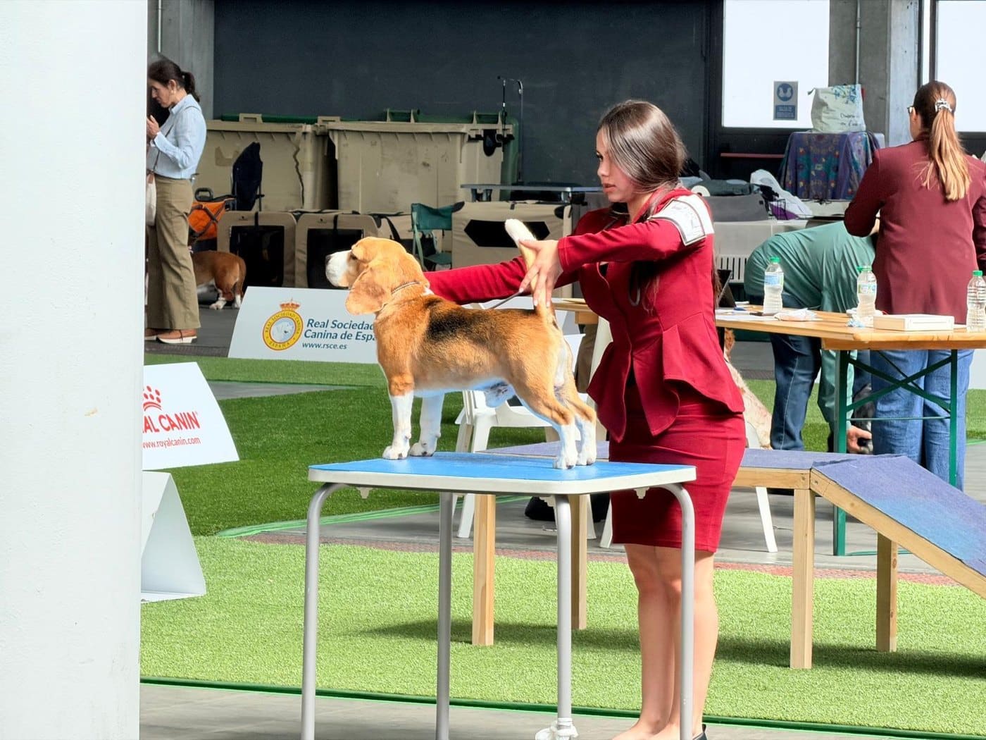 Ñu del Imperio Canino en exposición