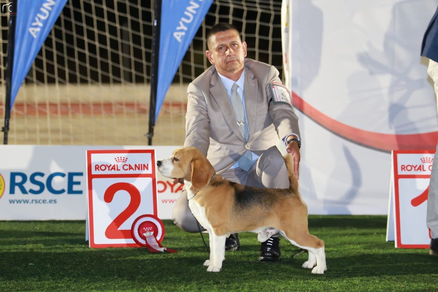 Ñu del Imperio Canino en exposición