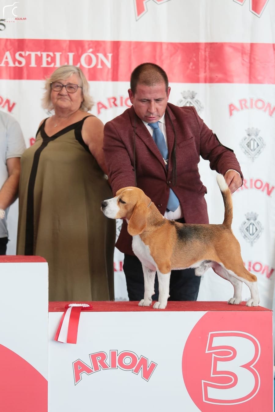 Ñu del Imperio Canino en exposición