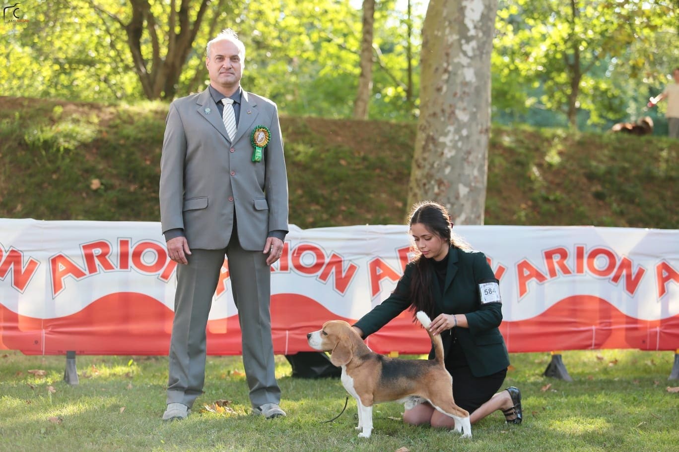 Ñu del Imperio Canino en exposición