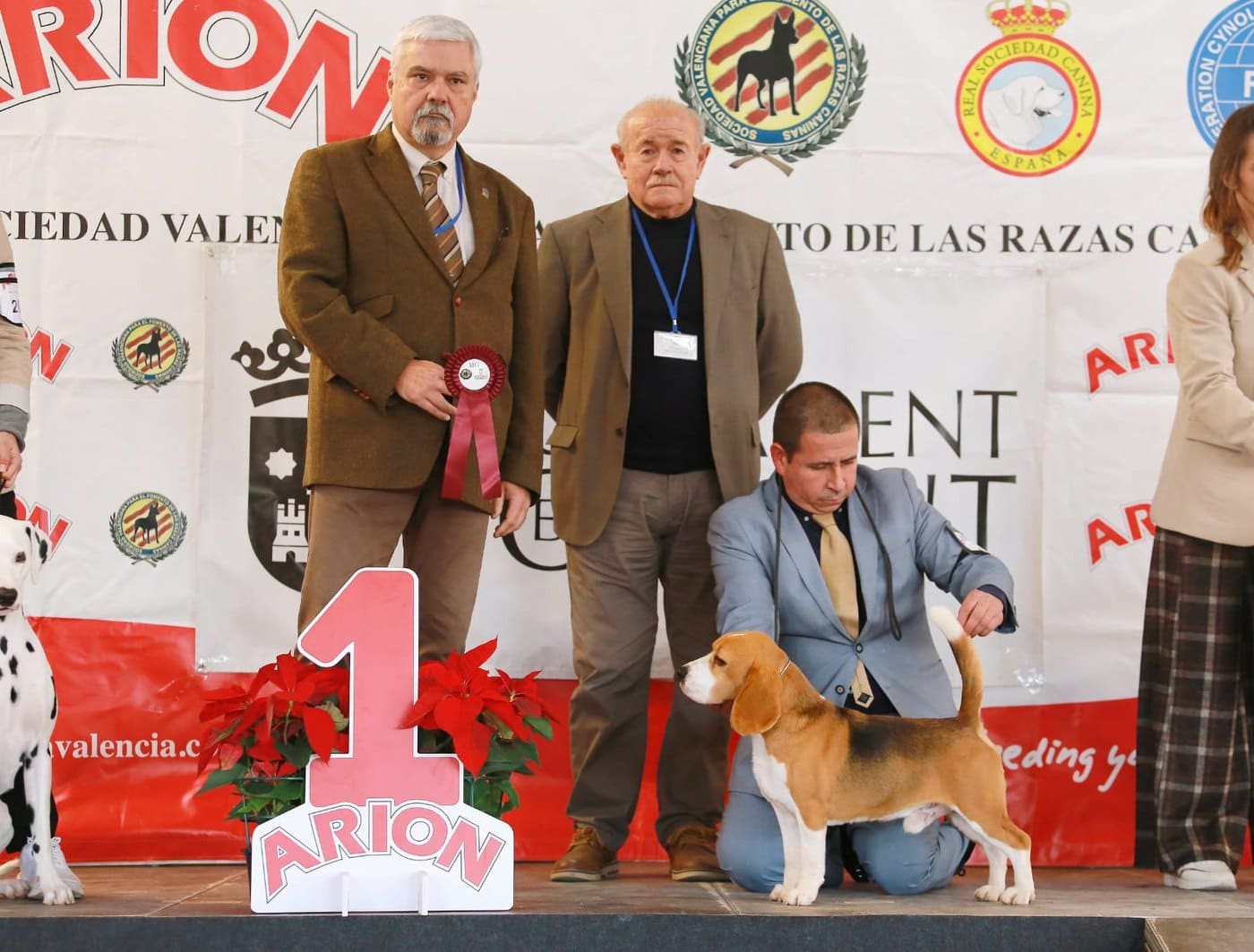 Ñu del Imperio Canino en exposición