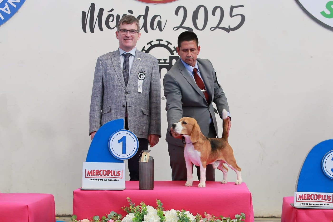 Ñu del Imperio Canino en exposición