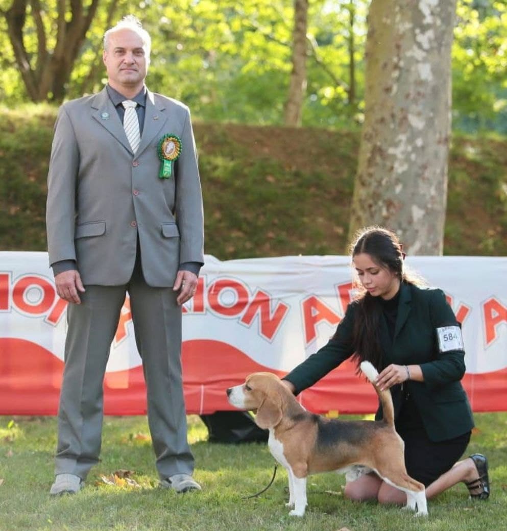 Ñu del Imperio Canino en exposición
