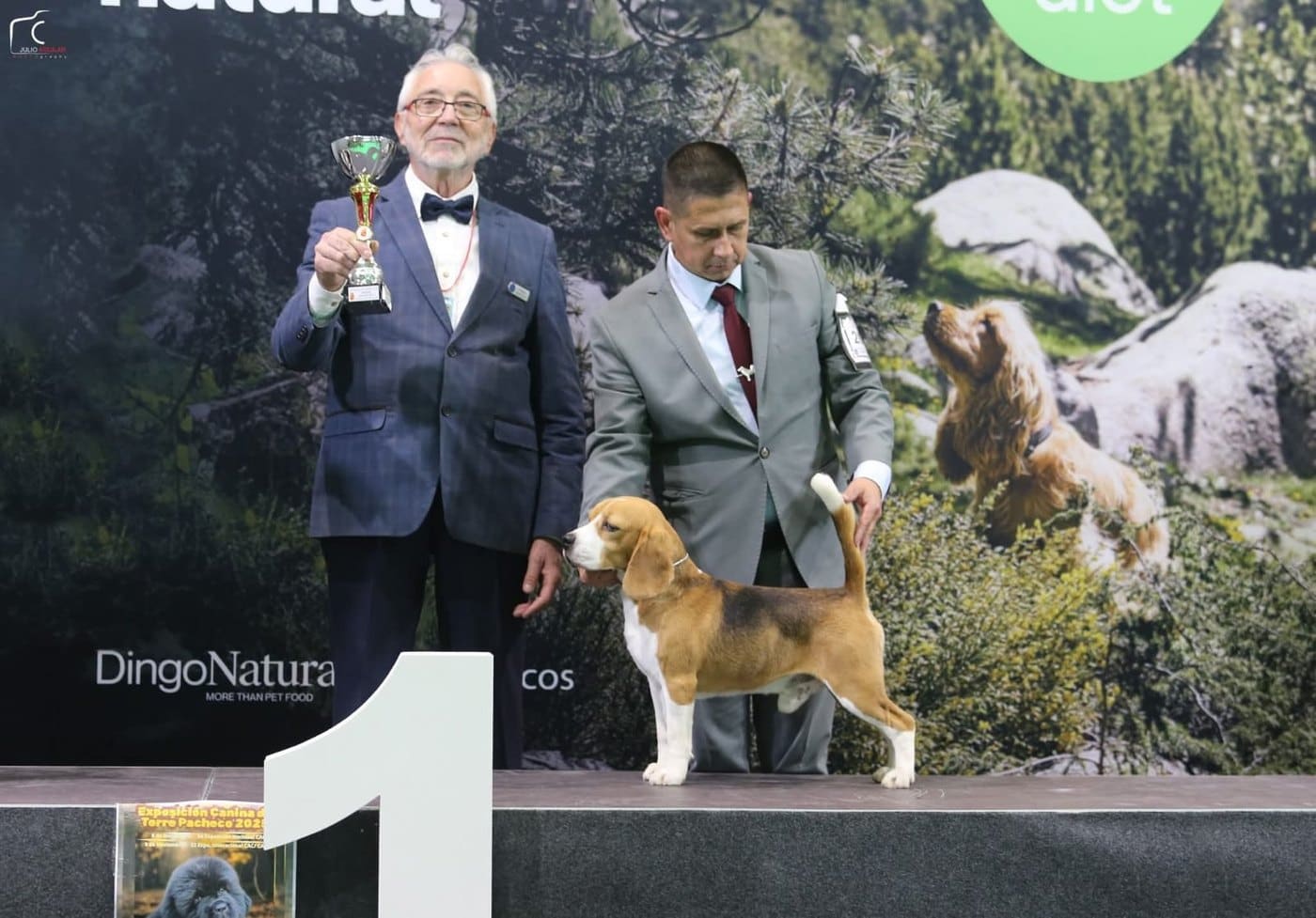 Ñu del Imperio Canino en exposición