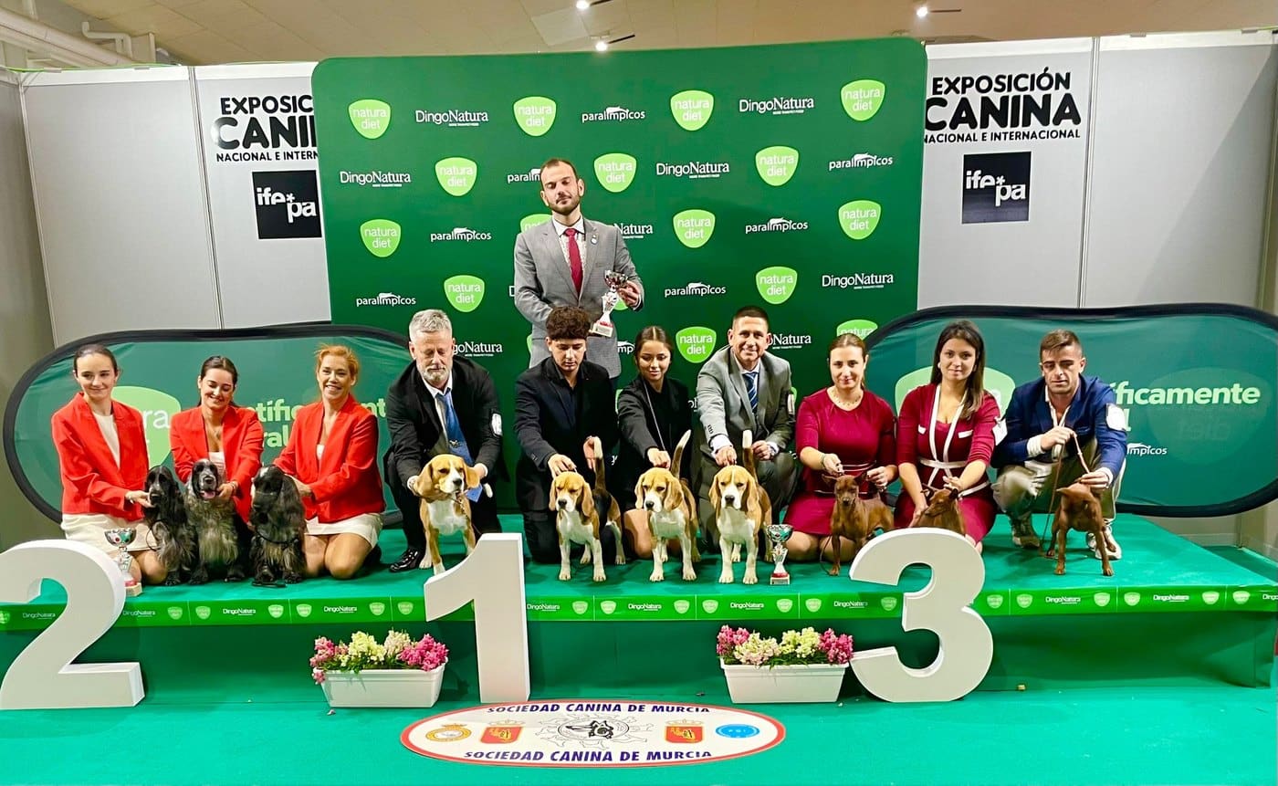 Ñu del Imperio Canino en exposición
