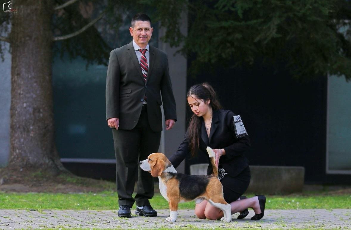 Yin del Imperio Canino en exposición